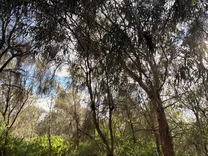 The Secret Garden | Music For Stress And Anxiety Relief