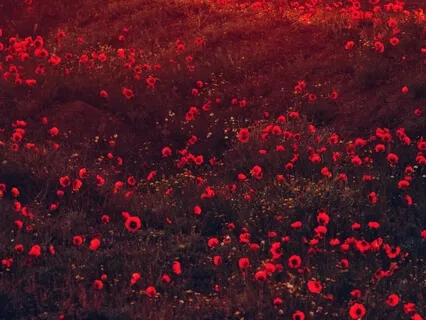 The Secret Garden - Self-Care