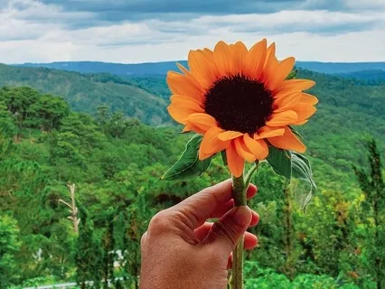 The Secret Of Good Vibes