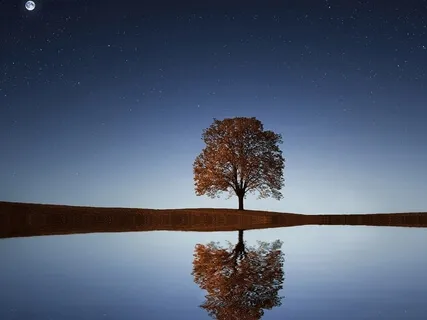 The Secret To A Good Night´s Sleep 