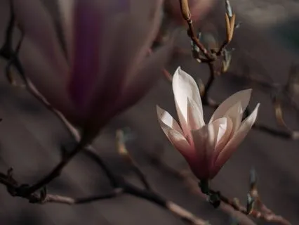 The Secret To Happiness