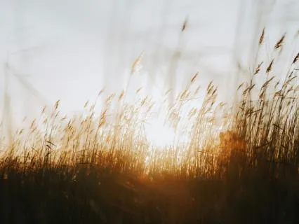 The Secret To Inner Alchemy