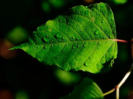 The Secret To Knowing God