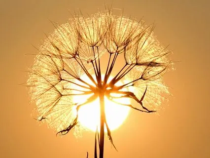 The Secret To Making Affirmations Work