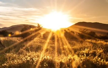 The Secret To Manifesting