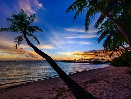 The Secret Tropical Beach - A Guided Sleep Story