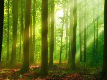 The Secret Well: Guided Deep Sleep Story (Haven Series)