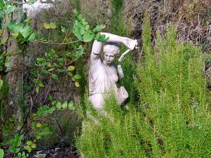 The Secrets Deep Within