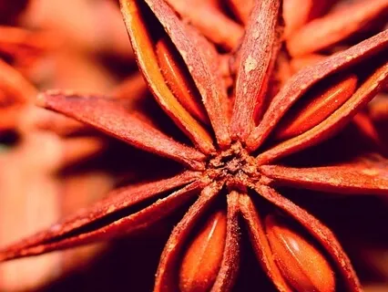 The Seed Of Our Potential