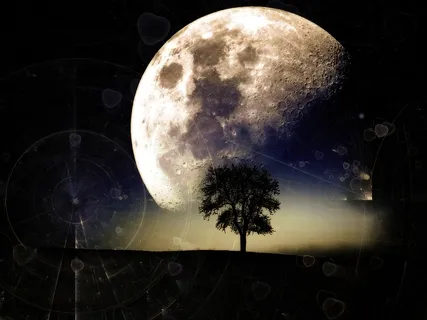 The Seed Of Sleep (Extended Version)