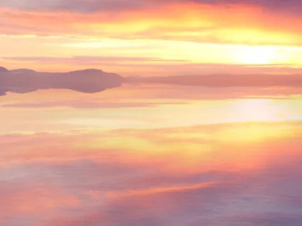 The Seed Of Stillness