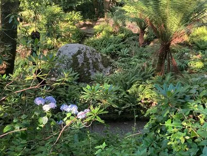 "The Seed" Yoga Nidra