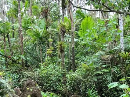 A Meditation For Self-Acceptance