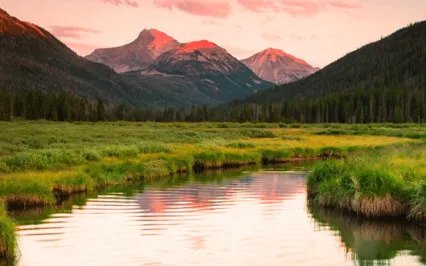 The Self Just Wants Certainty In Its Isolation, Not Trust