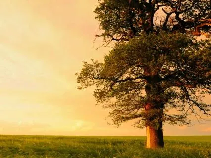The Self Remains: Finding Comfort In Who You Are