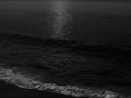 The Selkie's Shore — A Bedtime Visualisation