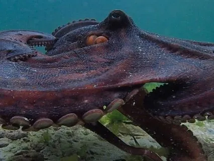 The Sensory Spiral — Awakening Through Touch