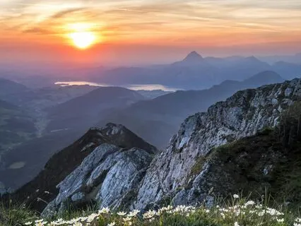 The Serene Morning Sun