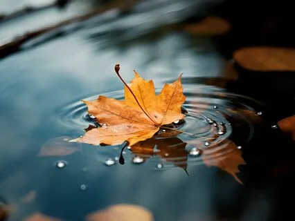 The Serene Observer: Beyond Thoughts And Emotions To Peace