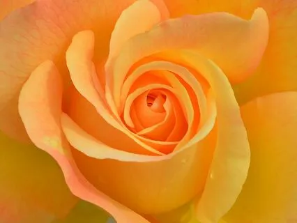 The Serene Path With 432 Hz