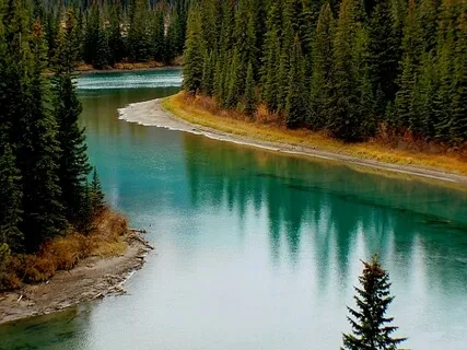 The Serenity Of The River - Let Go Of Your Negative Thoughts