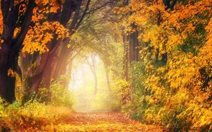 The Serpent King: A Healing Parable To Uproot Shame