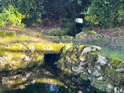The Settling Pond: Inviting In Clarity