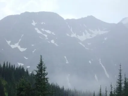 The Seven Factors Of Awakening