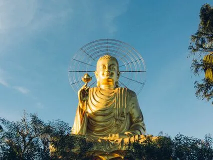 The Seven Homecomings