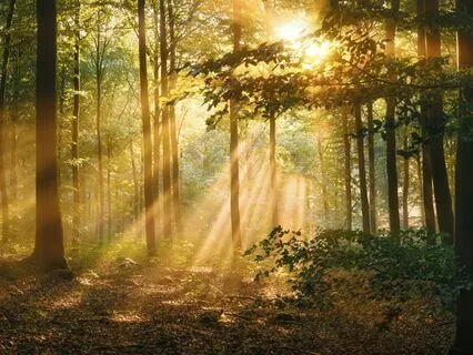 The Seven Lights Within