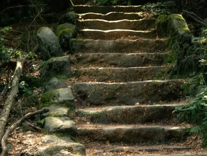 The Seven Steps: A Journey Into Your Truest Expression