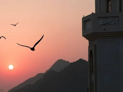 The Seven Voyages Of Sinbad 7 - The Bird-People