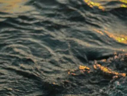 The Shadow Speaks — Moving With What’s Beneath