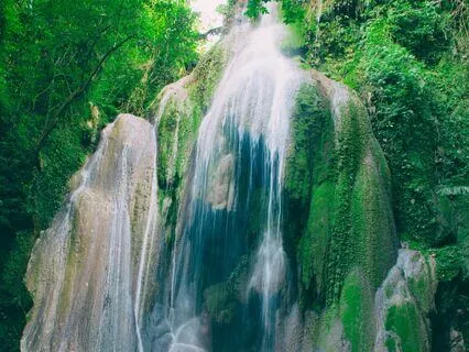 The Shamanic Journey,  Healing Bamboo Flute Meditation