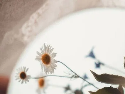 The Shame That Lives In The Mirror