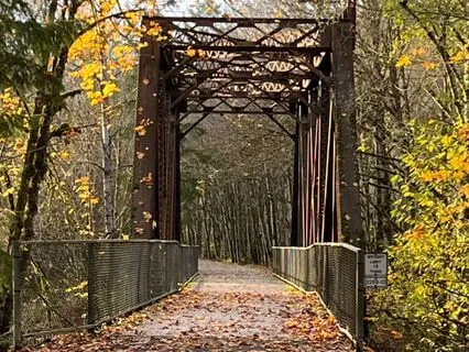 The Shape Grief Takes