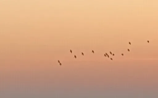 “The Shape” Journaling