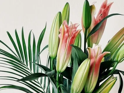 The Shifter’s Path: Ambient Sleep Music For Reality Shifting