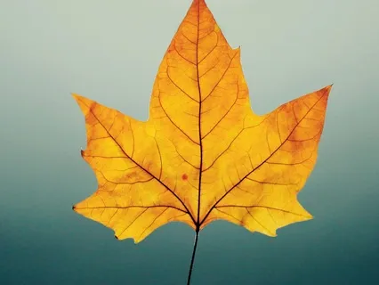 The Shifting Nature Of Moods - October 07