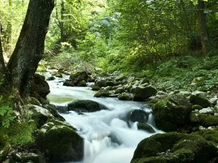 The Shimmering Portal (Meditation Bedtime Story)