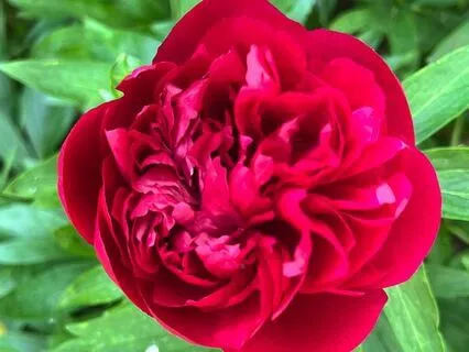 The Side Effects Of People Pleasing