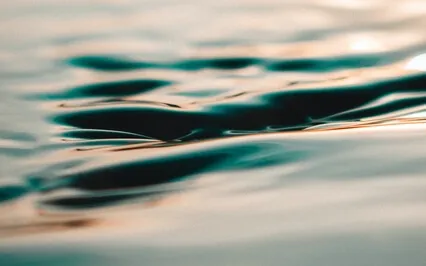 The Silence Is Palpable