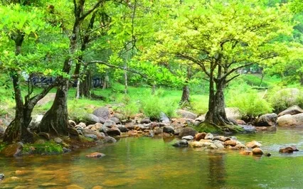 The Simple Imposter Syndrome Solution