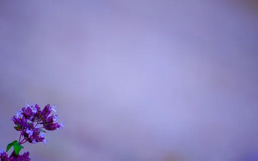 The Simple Logic Of Freedom