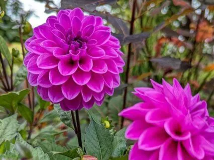 The Simple Pleasures Meditation