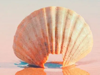 The Simplicity Of Abundance