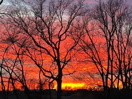 The Simplicity Of Enough