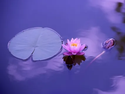 The Simplicity Of Happiness