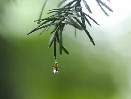 The Simplicity Of Meditation - Open Talks