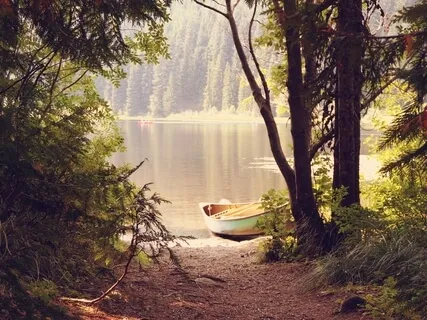 The Simplicity Of The Breath: Bringing Stillness To Body And Mind